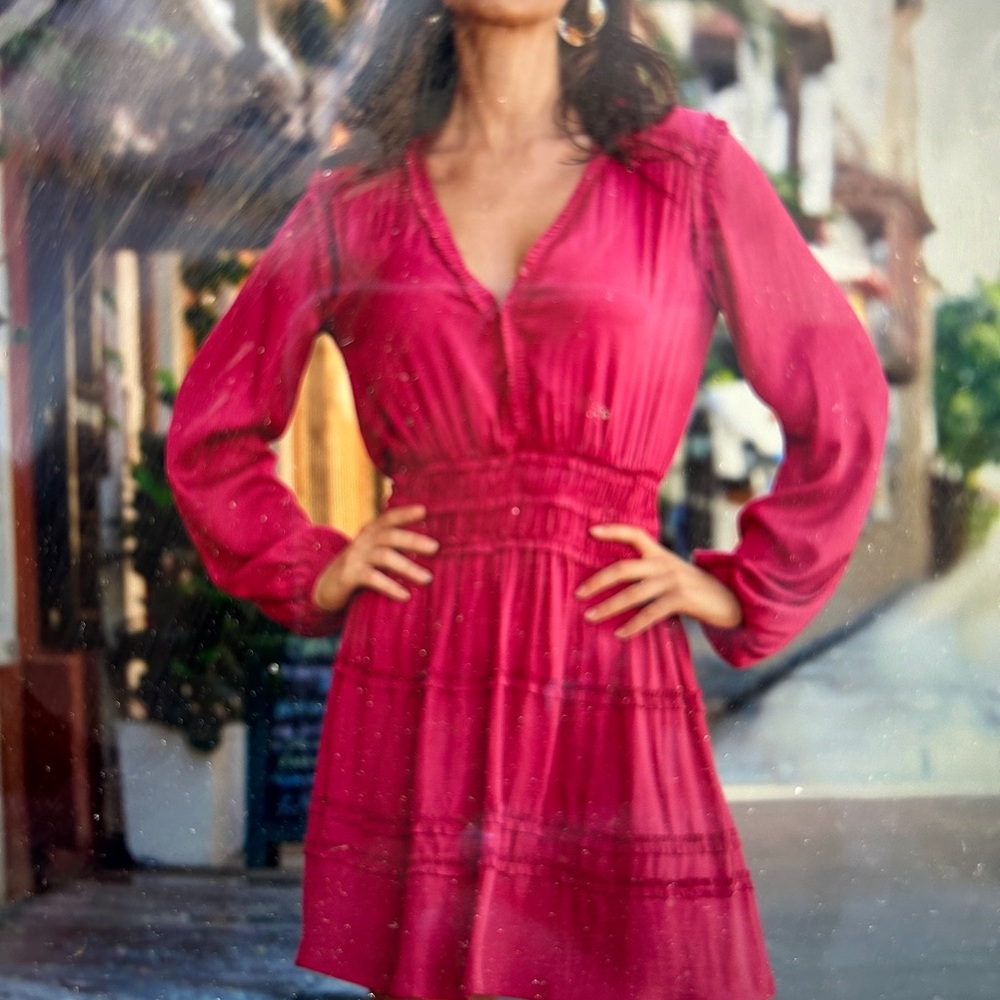 Boston Proper Pink Long Sleeve silk dress NWT